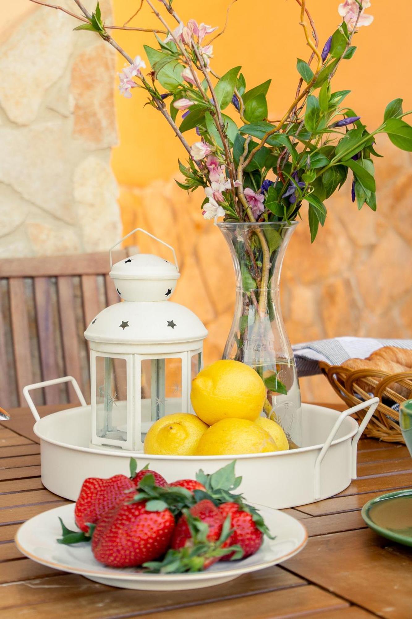 Noi 2 Vacanze - Il Nido Di Gina Contignano Exterior photo